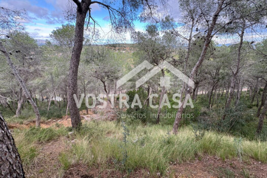 SOLAR – Chiva – 30062012_S