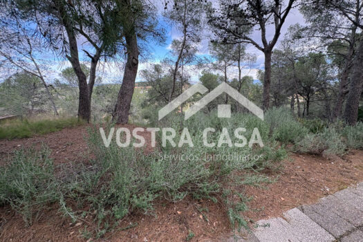 SOLAR – Chiva – 30062012_S