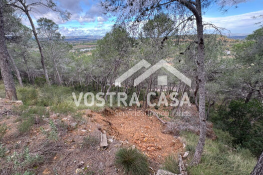 SOLAR – Chiva – 30062012_S