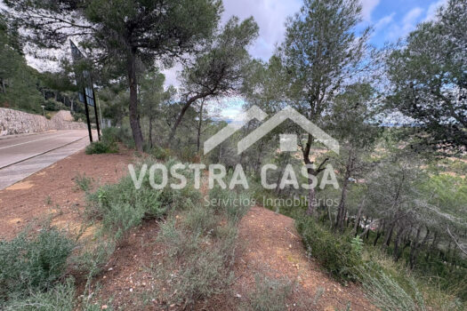 SOLAR – Chiva – 30062012_S