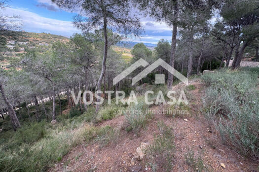 SOLAR – Chiva – 30062012_S