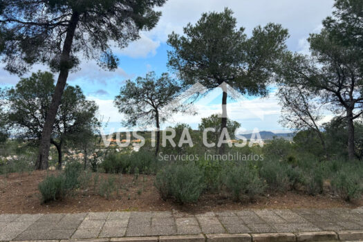 SOLAR – Chiva – 30062012_S