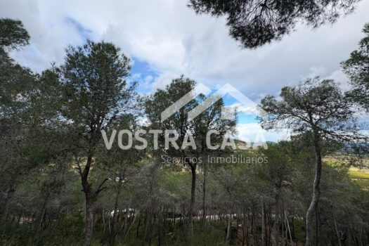 SOLAR – Chiva – 30062012_S