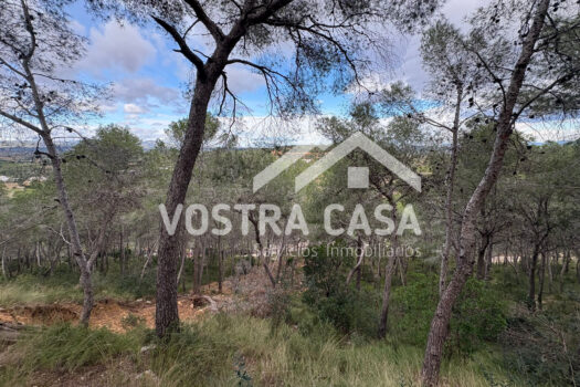 SOLAR – Chiva – 30062012_S