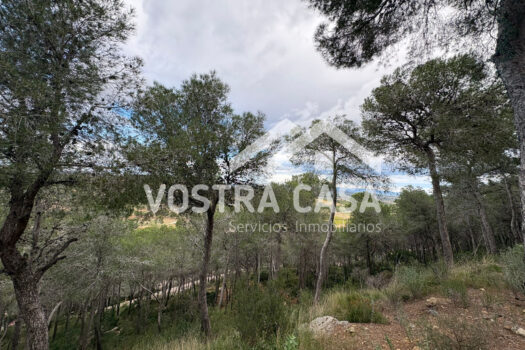 SOLAR – Chiva – 30062012_S