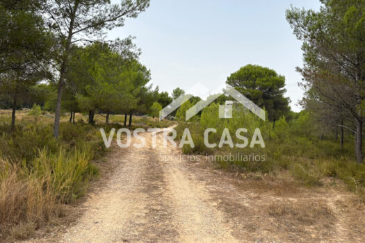 SOLAR – Godelleta – 00484-0002_S