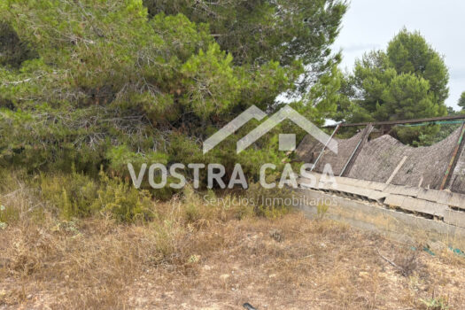 SOLAR – Godelleta – 00484-0002_S