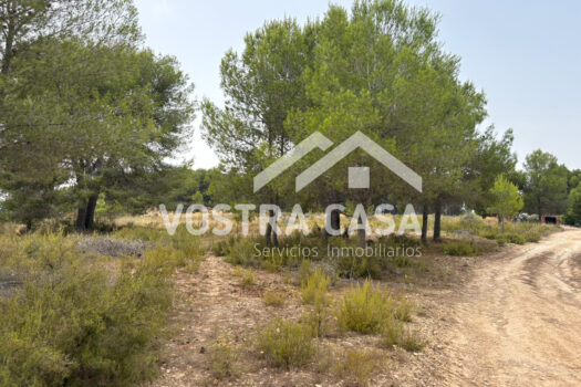 SOLAR – Godelleta – 00484-0002_S