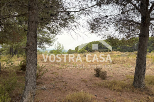 SOLAR – Godelleta – 00484-0002_S