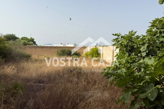 TERRENO RUSTICO – Torrent – 30092014_S