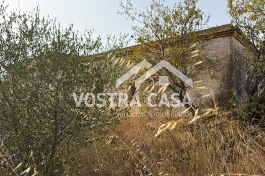 TERRENO RUSTICO – Torrent – 30092014_S