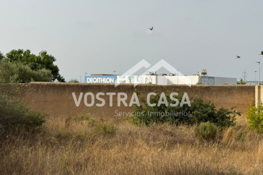 TERRENO RUSTICO – Torrent – 30092014_S
