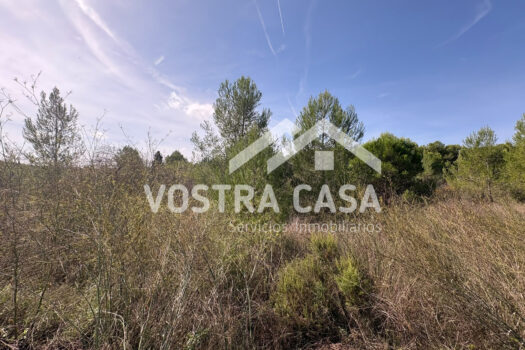TERRENO INDUSTRIAL – Godelleta – 1188234_S