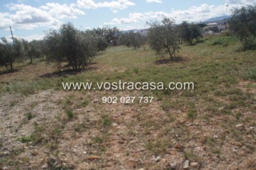 PARCELA – Cheste – 1578_S