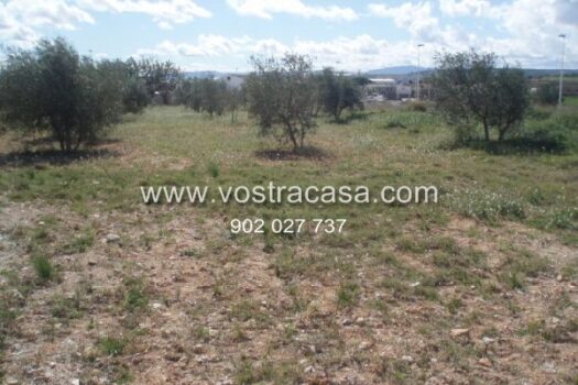 PARCELA – Cheste – 1578_S