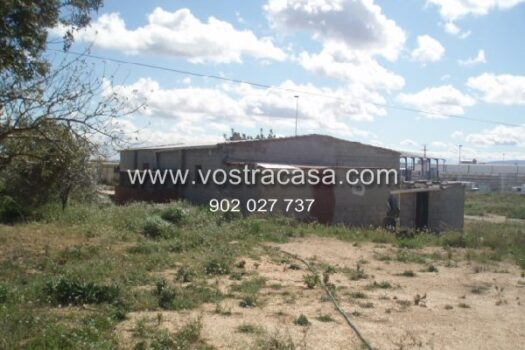 PARCELA – Cheste – 1578_S